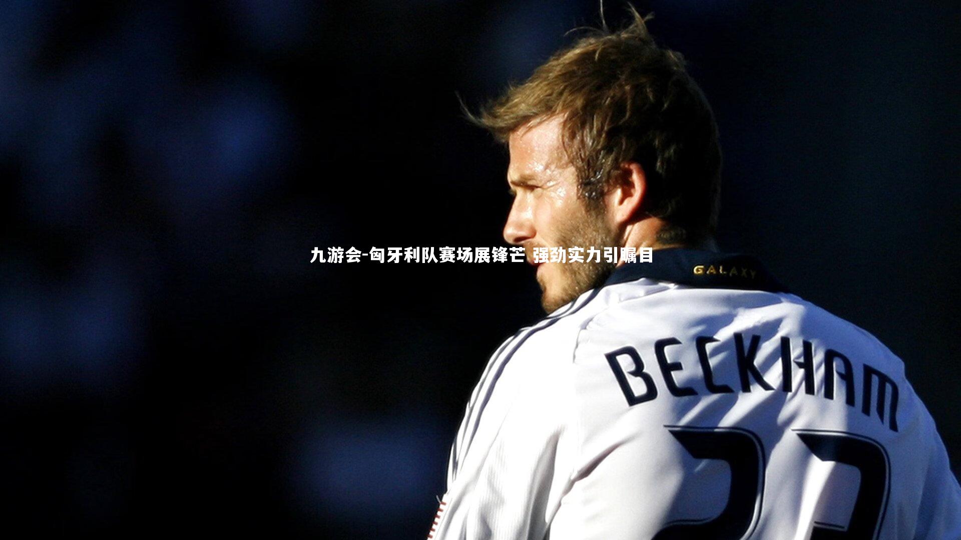 匈牙利队赛场展锋芒 强劲实力引瞩目