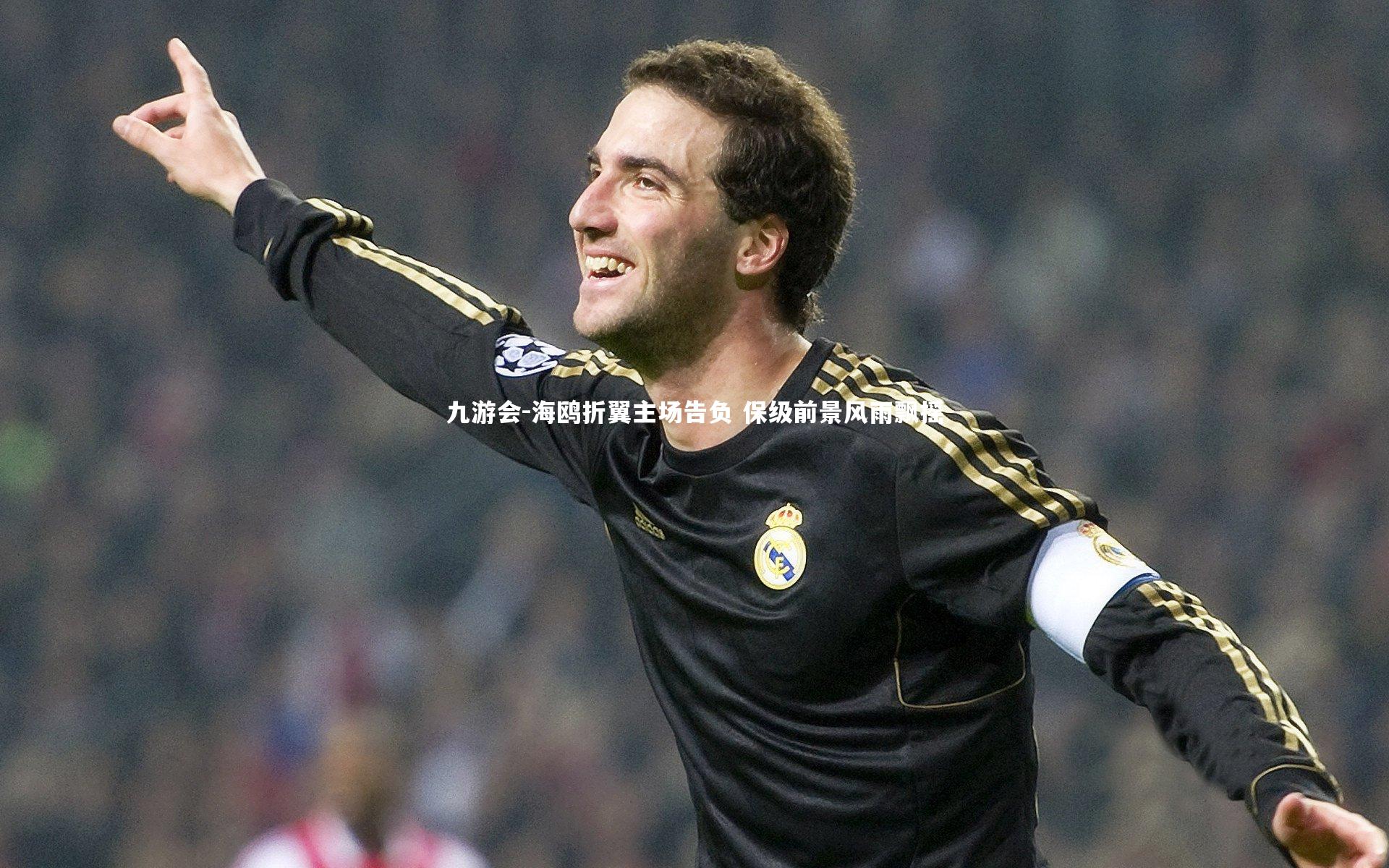 海鸥折翼主场告负 保级前景风雨飘摇